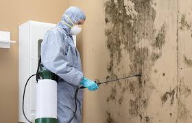 Best Mold Remediation for Healthcare Facilities  in Republic, PA